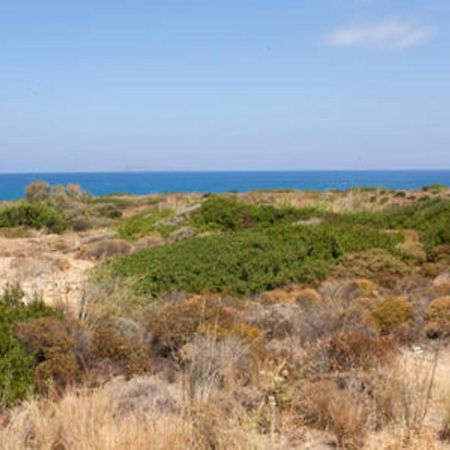 סיטייה Makis Apartments מראה חיצוני תמונה