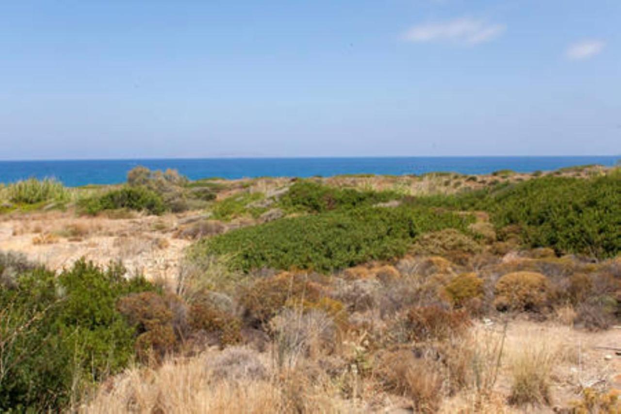 סיטייה Makis Apartments מראה חיצוני תמונה